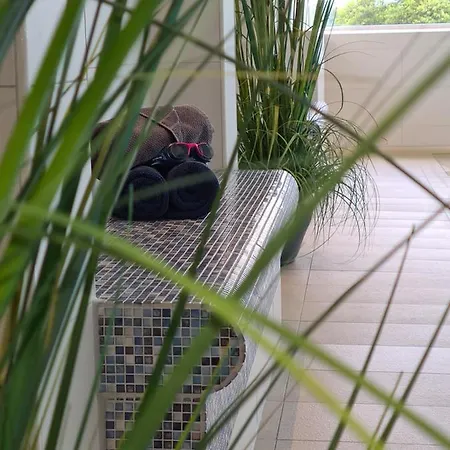 Terrassenhaus, 45 * דוהנן